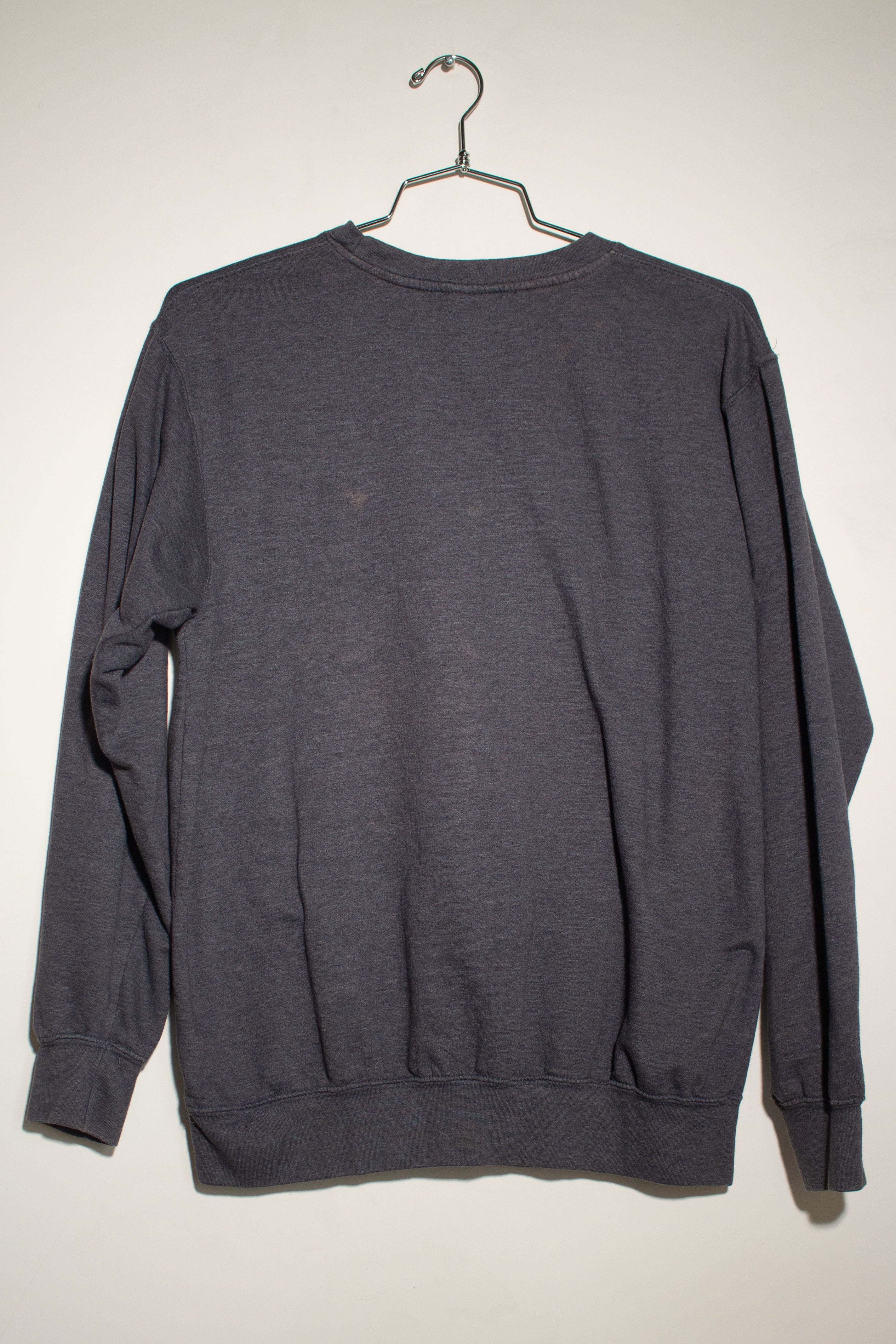Vintage Southwestern University Sweatshirt (1990s)