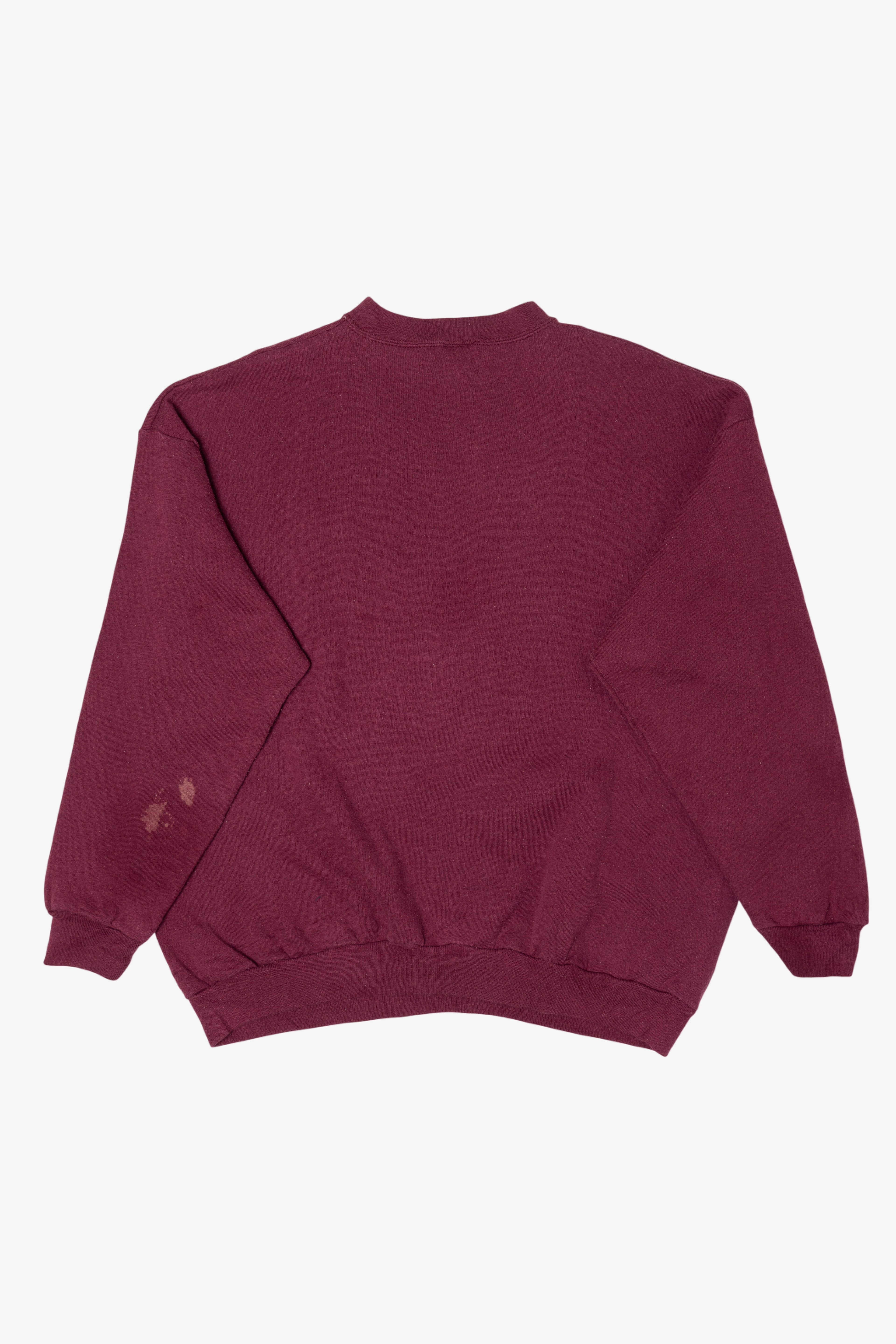 Vintage Sedona Cacti Tultex Sweatshirt (1990s)