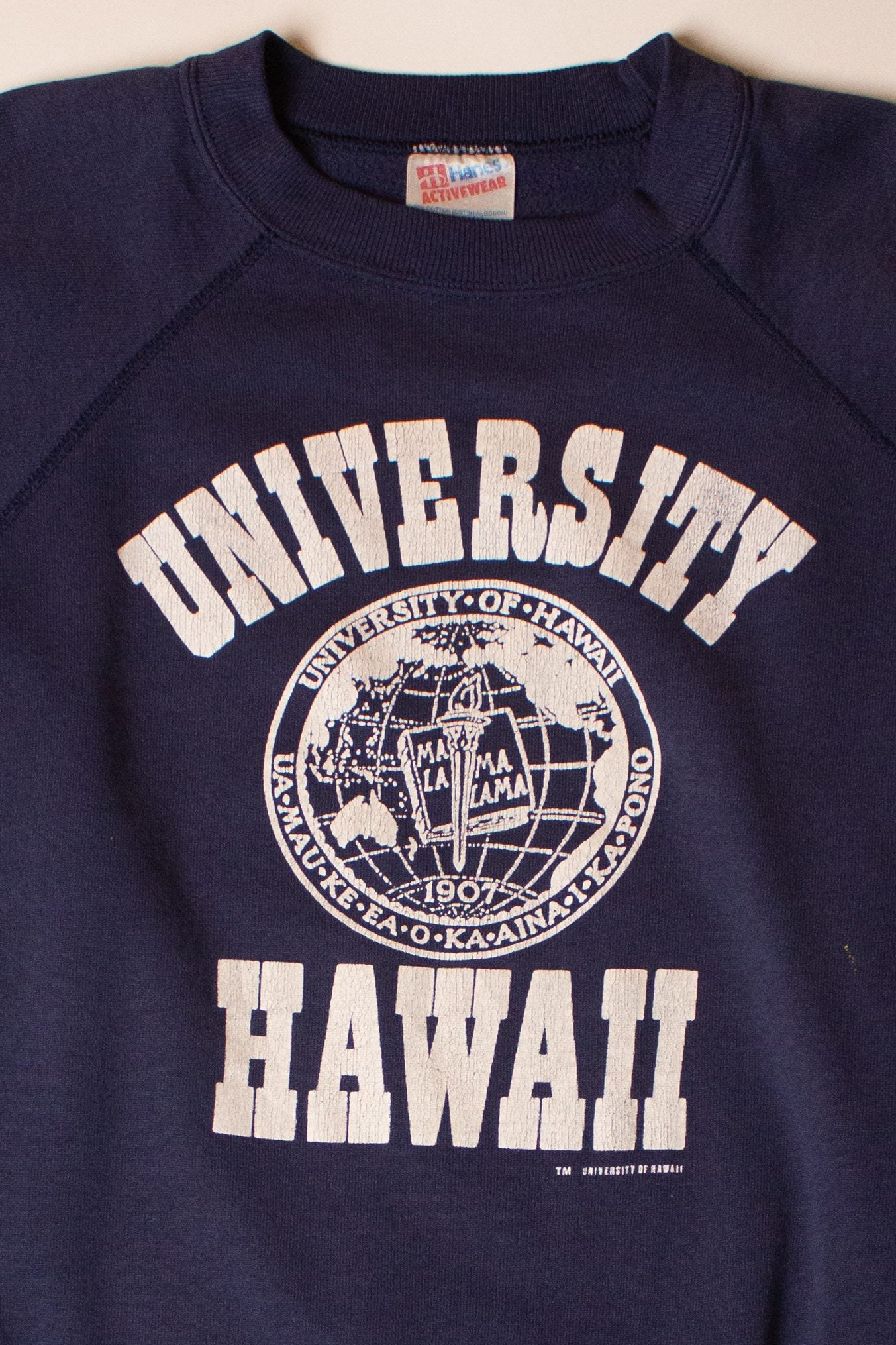 Vintage University of Hawaii Sweatshirt (1990s)