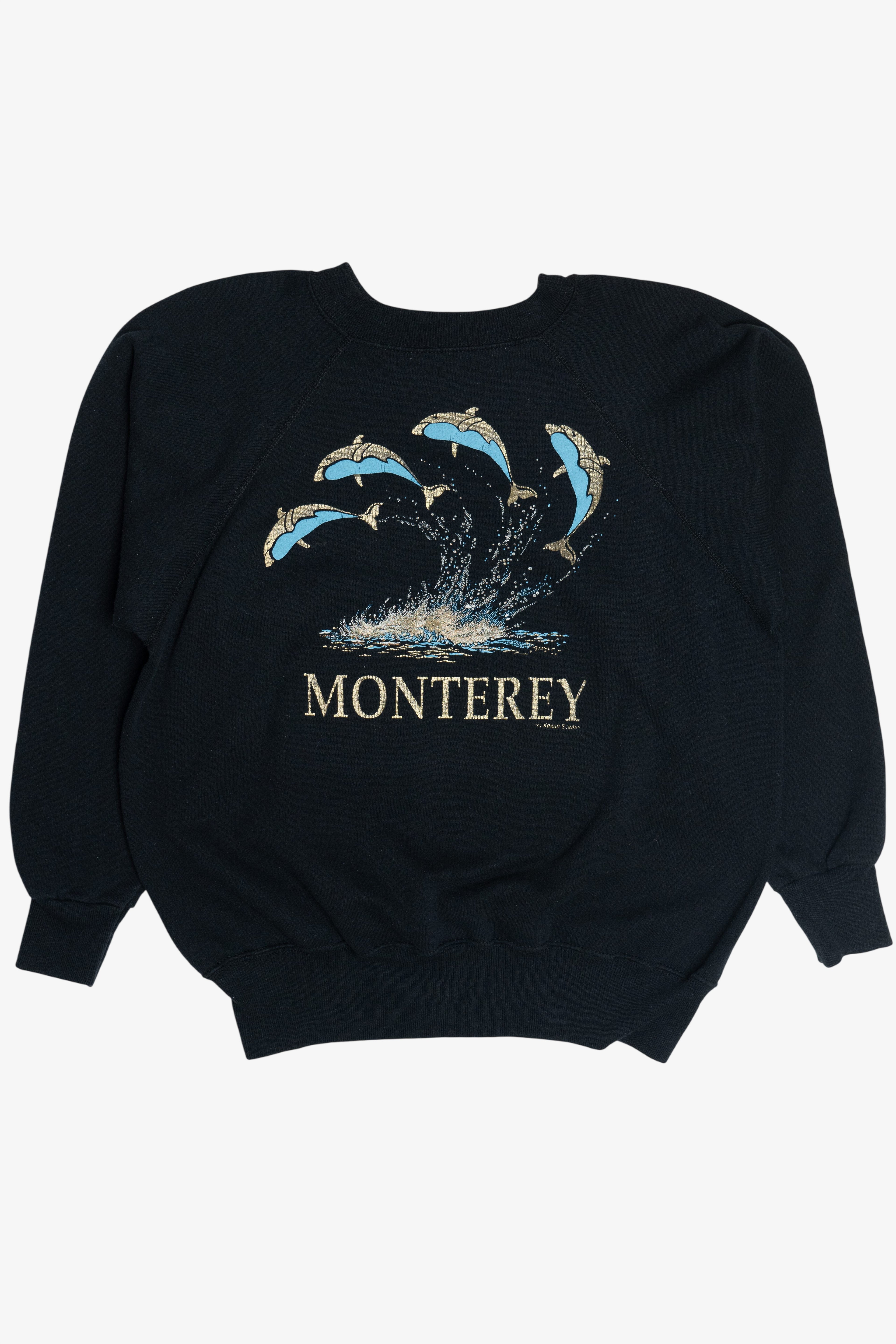 Vintage "Monterey" Dolphins Raglan Sweatshirt (1990s)
