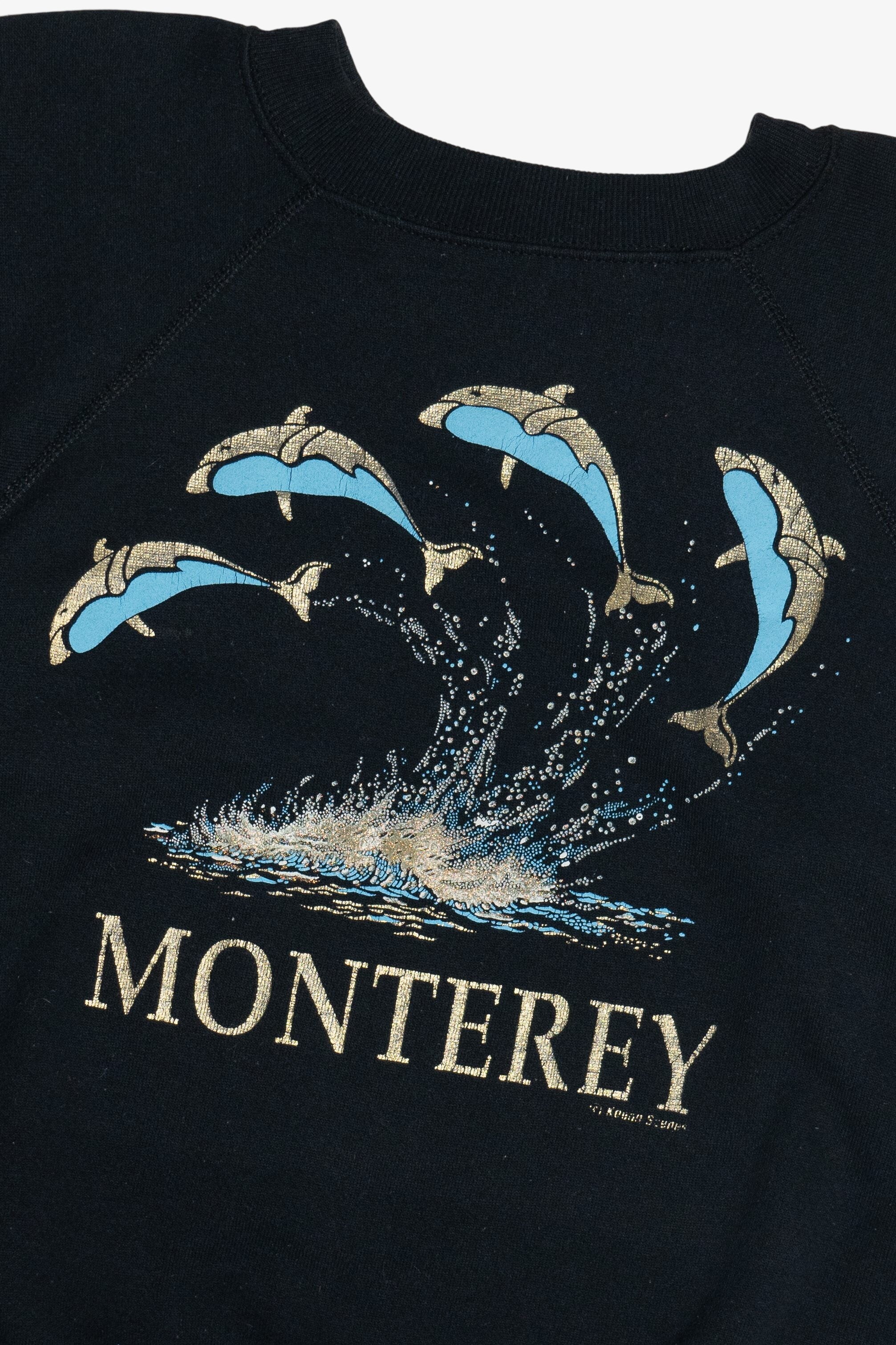Vintage "Monterey" Dolphins Raglan Sweatshirt (1990s)