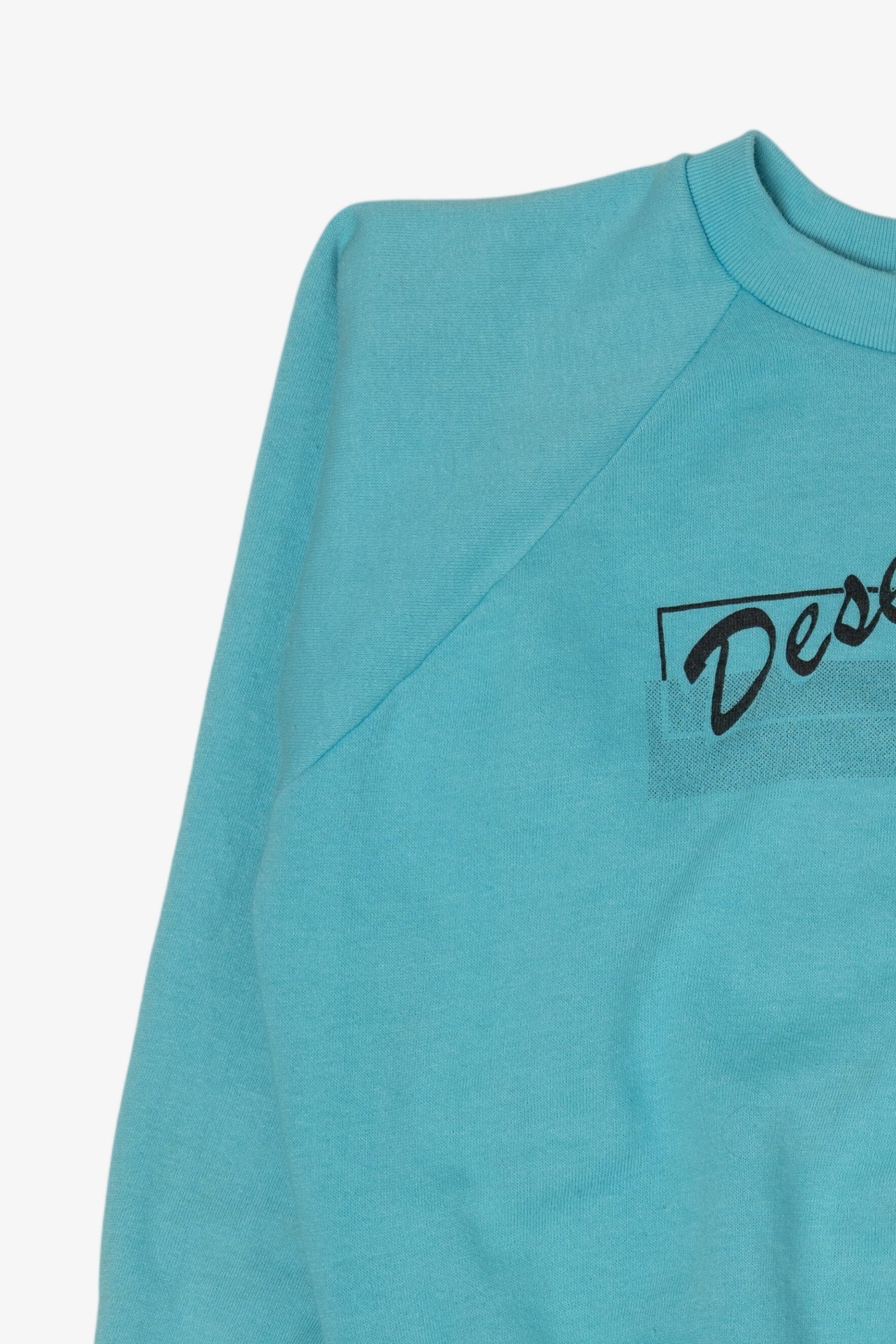 Vintage Blue Desert Sweats Palm Springs California Raglan Sweatshirt (1990s)