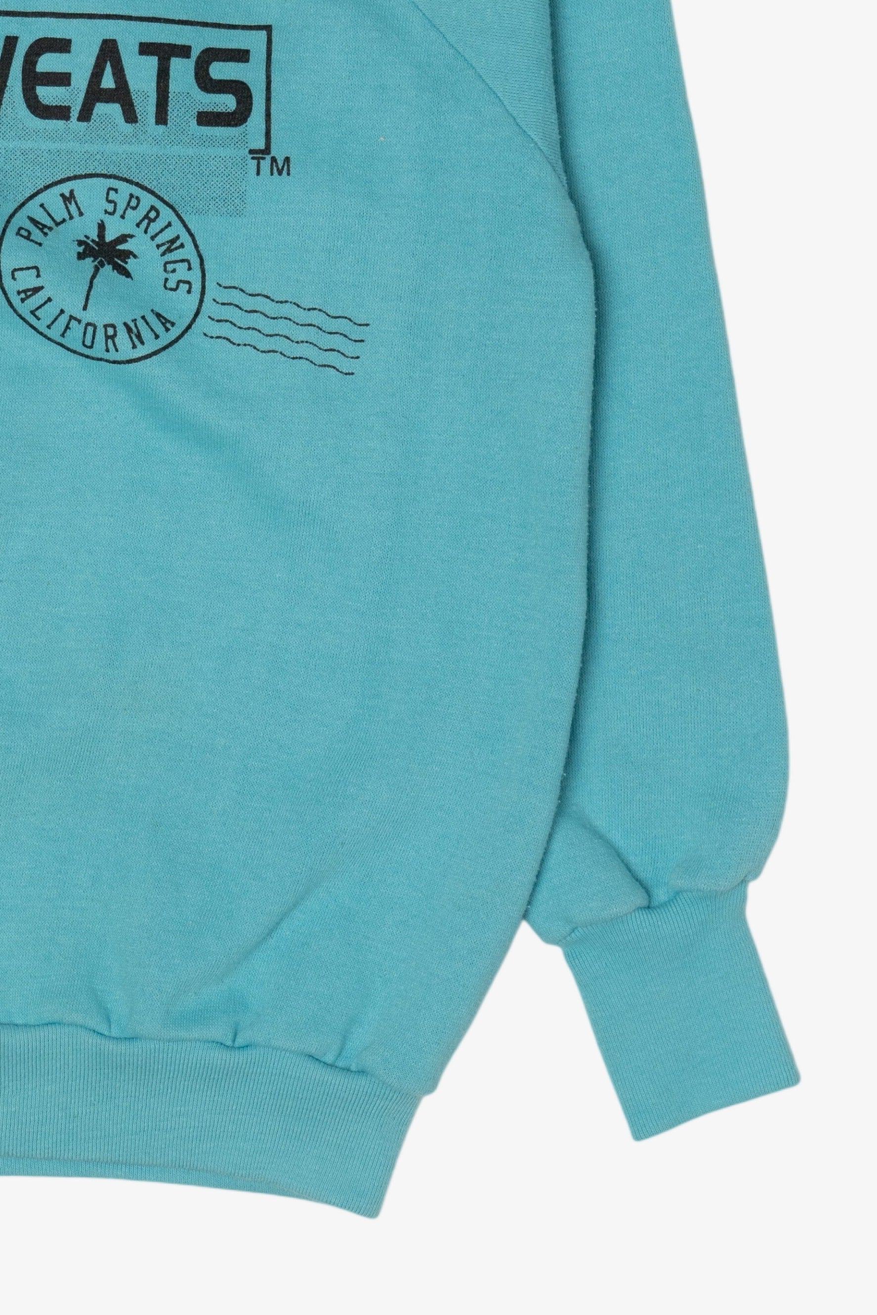 Vintage Blue Desert Sweats Palm Springs California Raglan Sweatshirt (1990s)