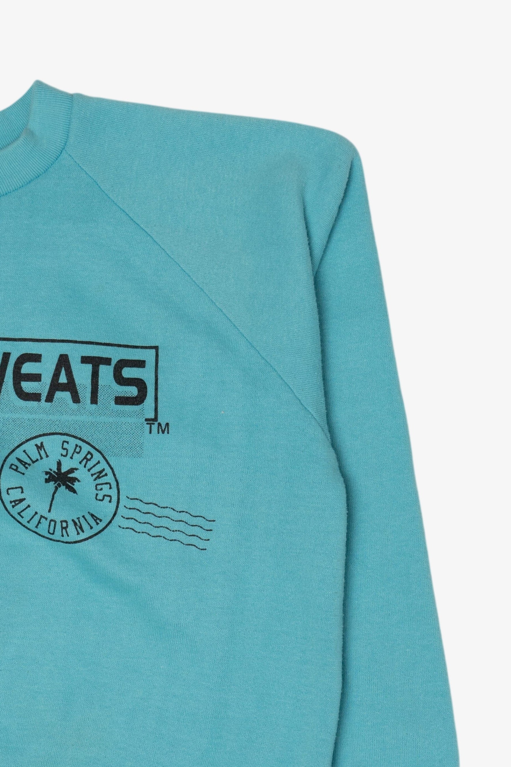 Vintage Blue Desert Sweats Palm Springs California Raglan Sweatshirt (1990s)