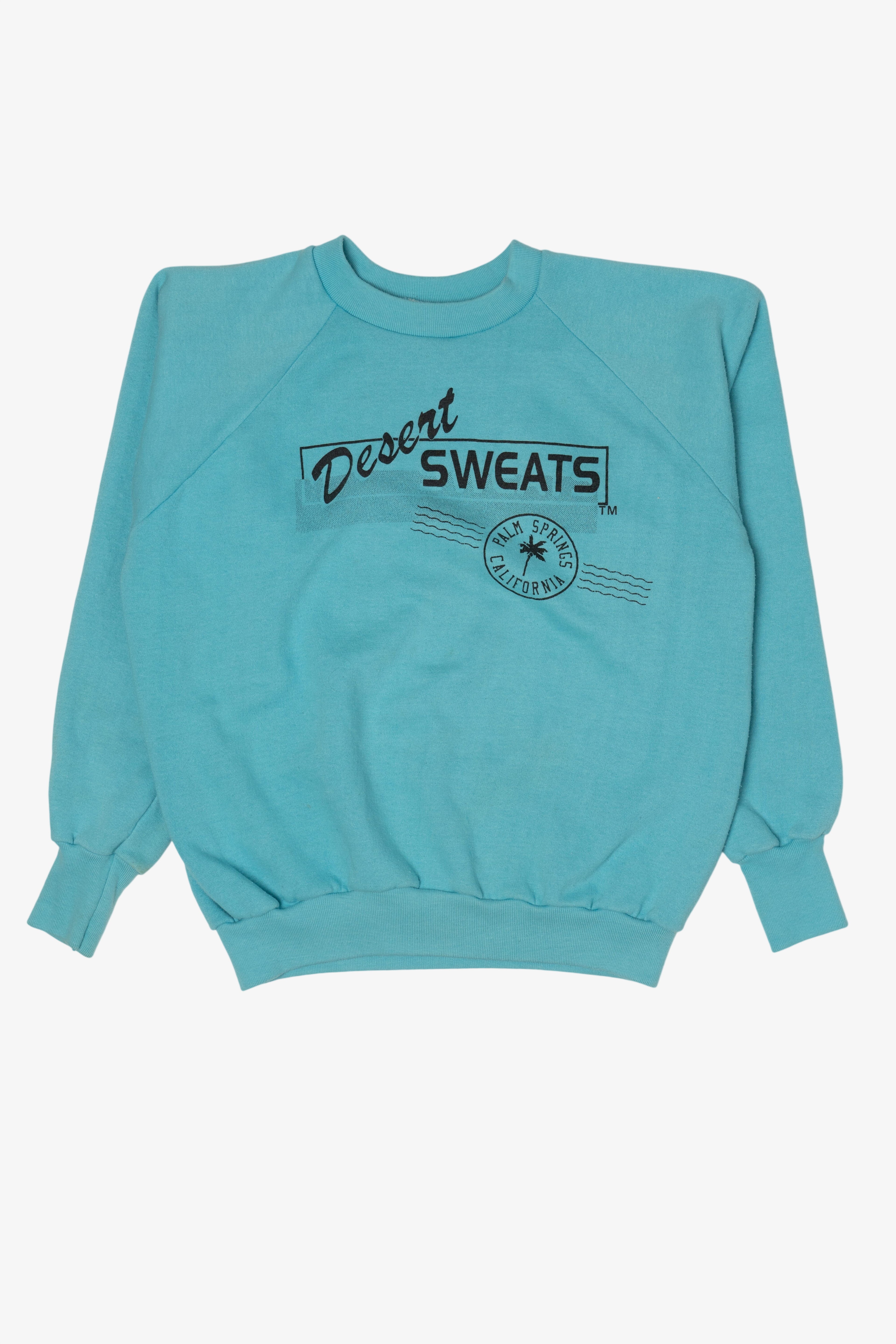 Vintage Blue Desert Sweats Palm Springs California Raglan Sweatshirt (1990s)