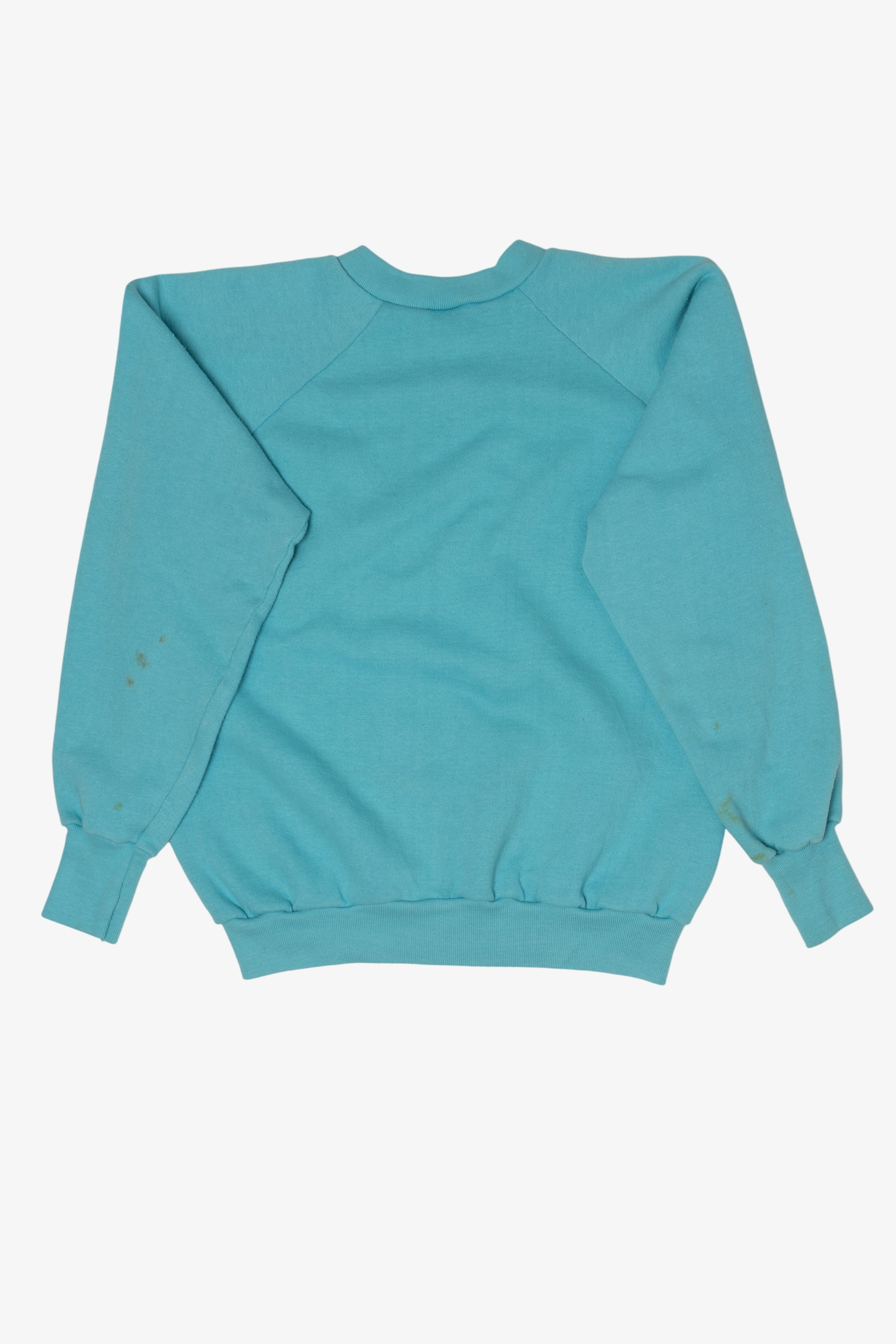 Vintage Blue Desert Sweats Palm Springs California Raglan Sweatshirt (1990s)