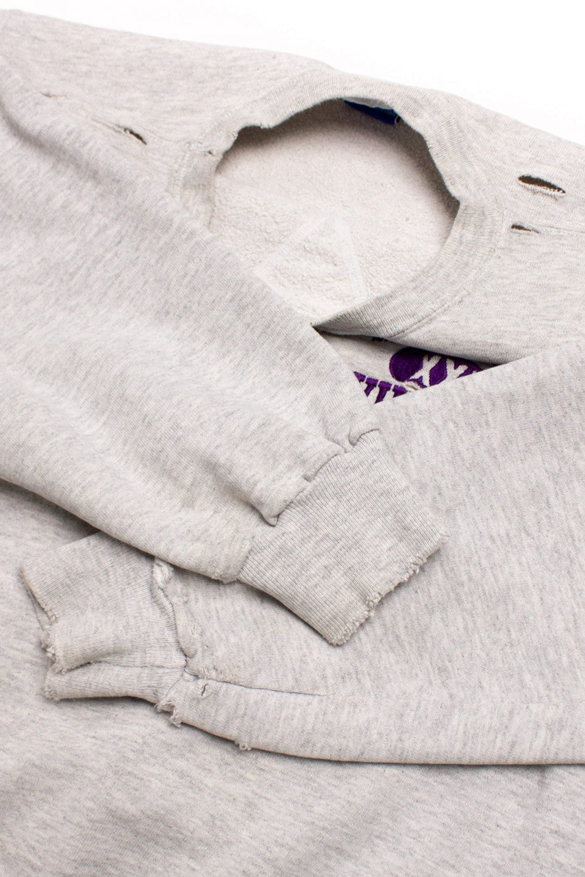 Vintage Minnesota Vikings Champion Sweatshirt (1995)