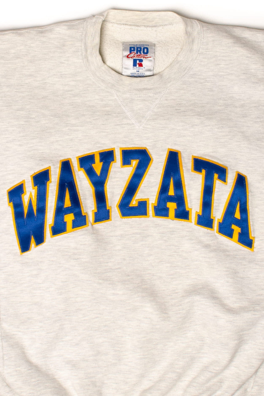 Vintage Wayzata Sweatshirt (1990s)