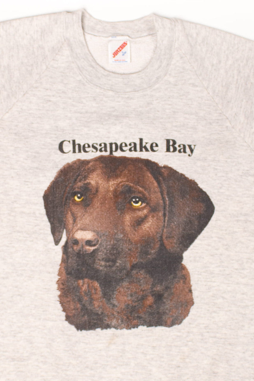 Vintage Chesapeake Bay Dog Sweatshirt (1990s)