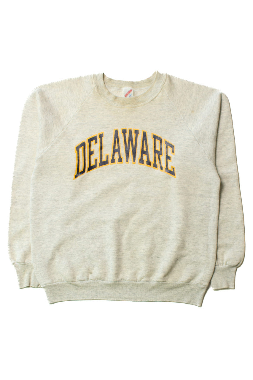 Vintage Delaware Sweatshirt (1990s) 9546