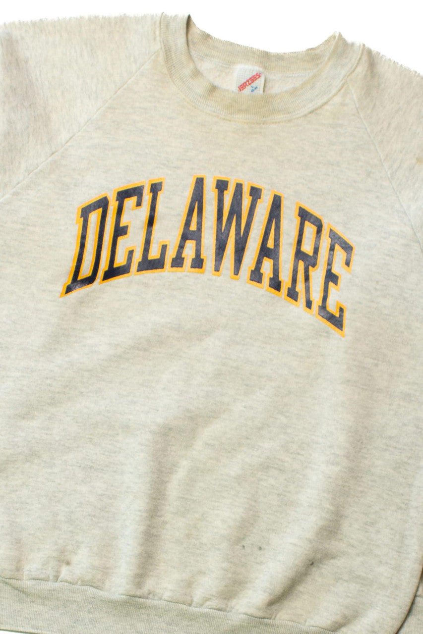 Vintage Delaware Sweatshirt (1990s) 9546