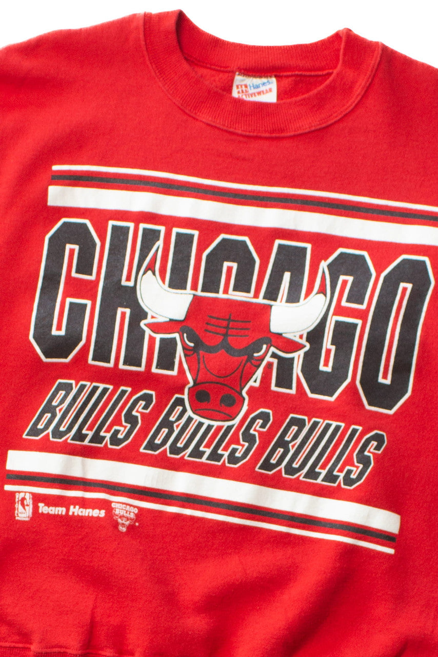 Vintage Team Hanes Chicago Bulls Sweatshirt (1990s)
