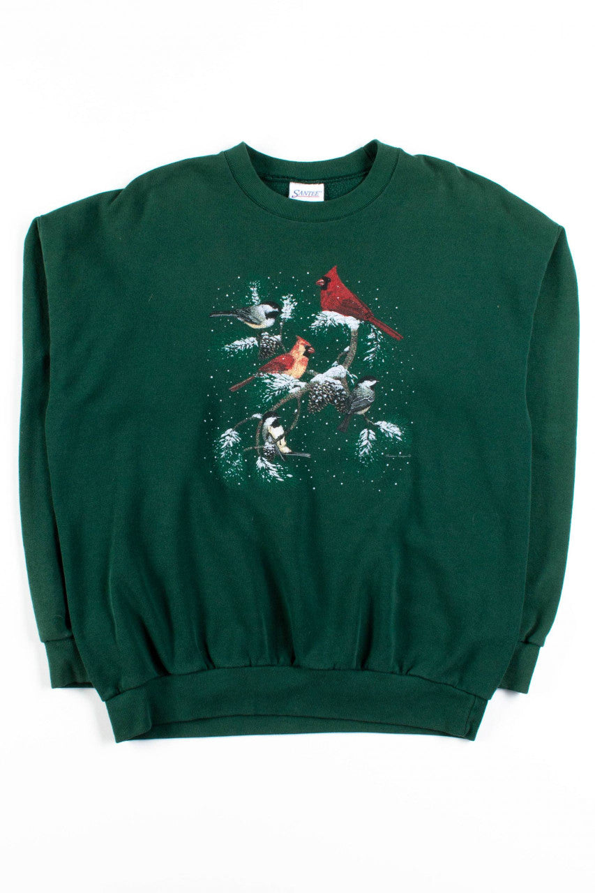 Birds In Snow Sweatshirt