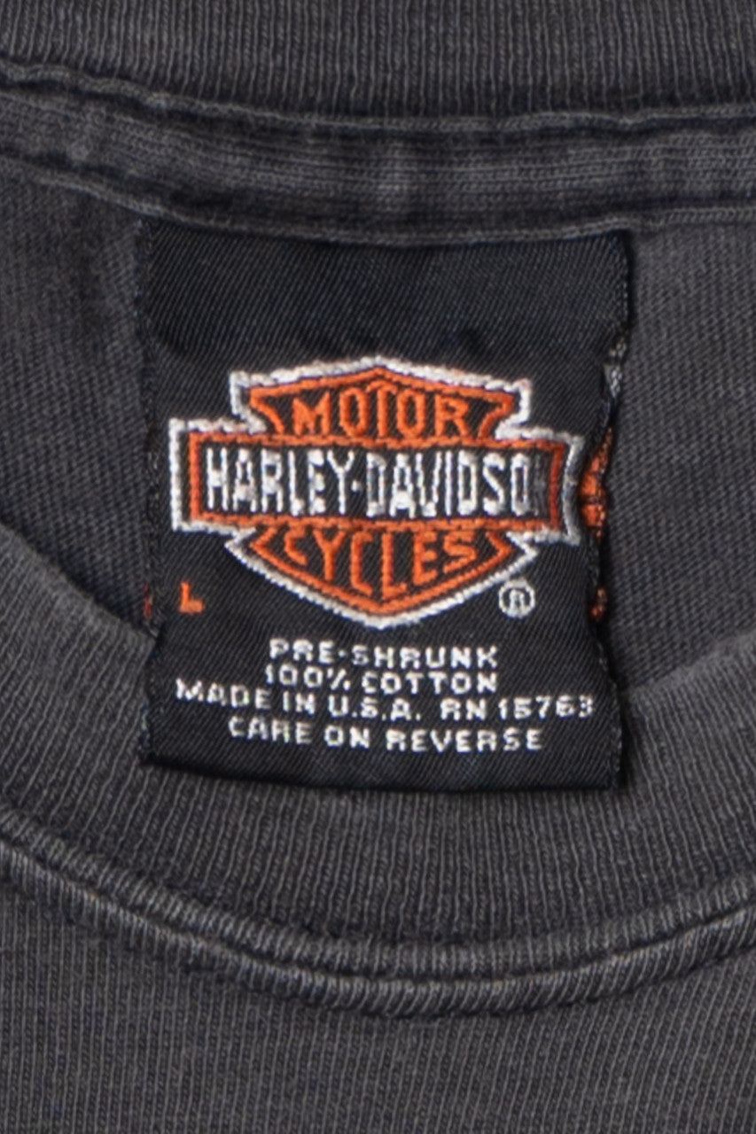 Vintage Distressed Harley Davidson Lightning Chrome Faribault Minnesota T-Shirt