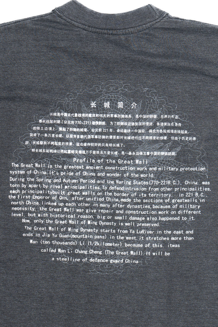 Vintage "I Have Climbed Up The Great Wall" China Tourist T-Shirt (2000s)