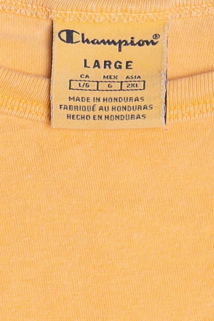 Vintage Champion Logo Heavyweight Crop Top T-Shirt (2000s)