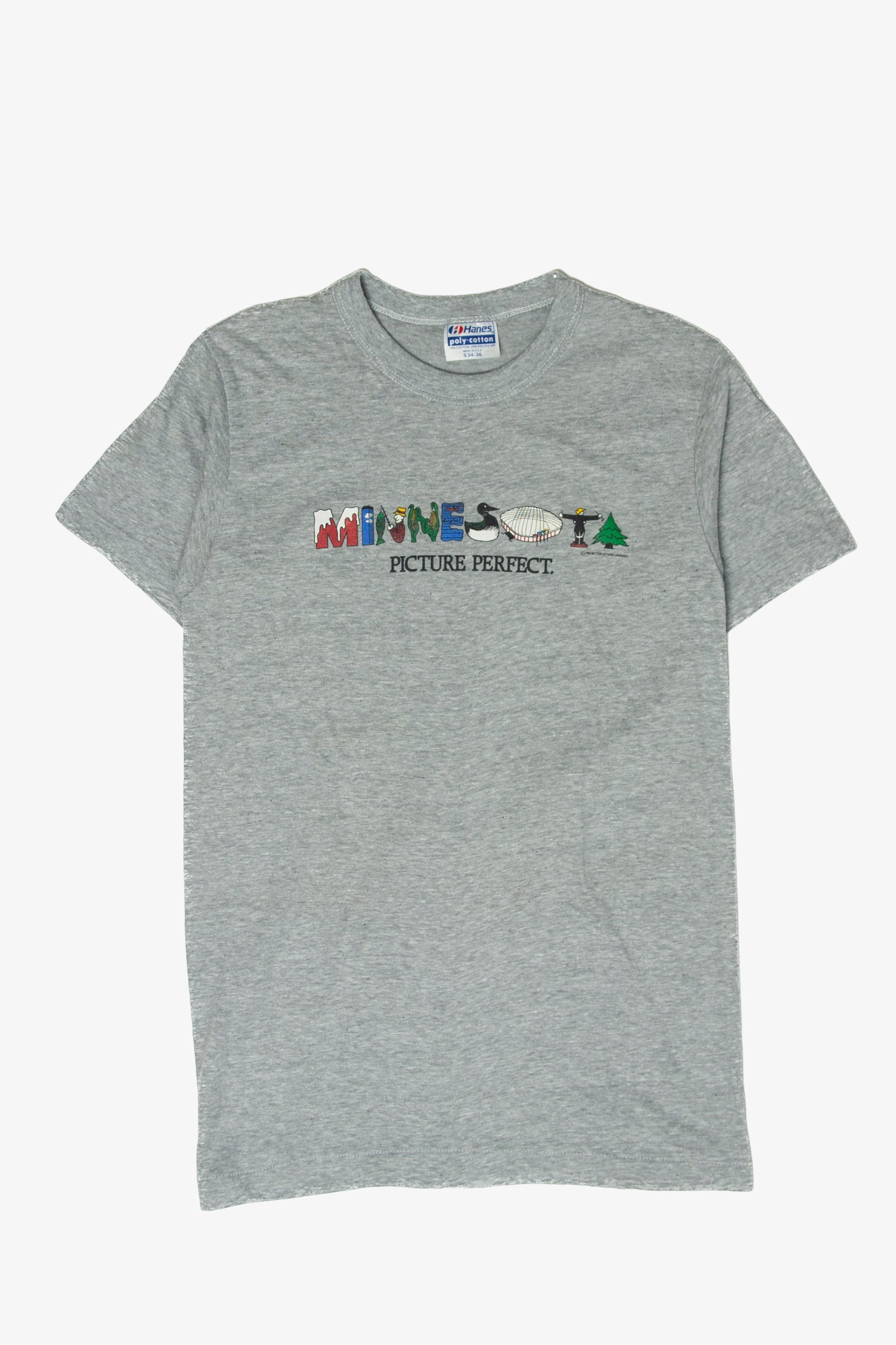 Vintage Minnesota "Picture Perfect" T-Shirt (1980s)