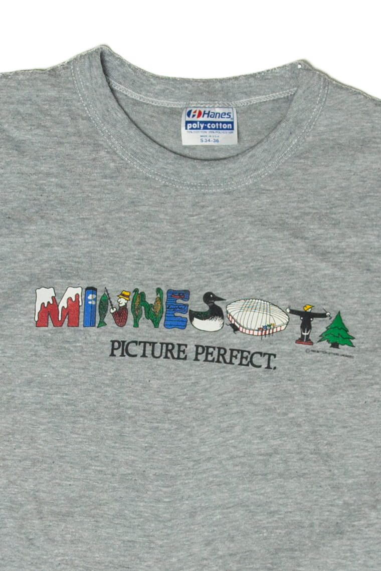 Vintage Minnesota "Picture Perfect" T-Shirt (1980s)
