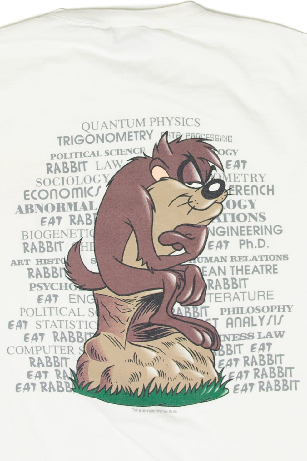 Vintage Taz Thinking Wingate Looney Toons T-Shirt (1990s)