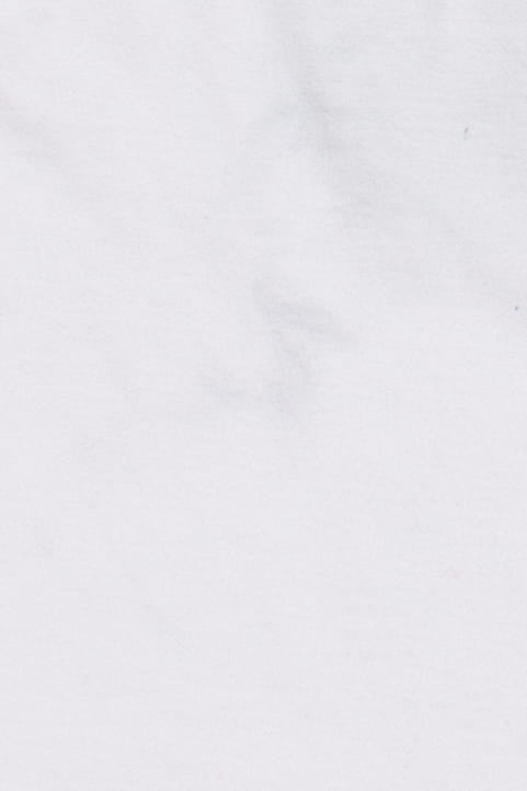 Dixxon Flannel Co. Graphic T-Shirt