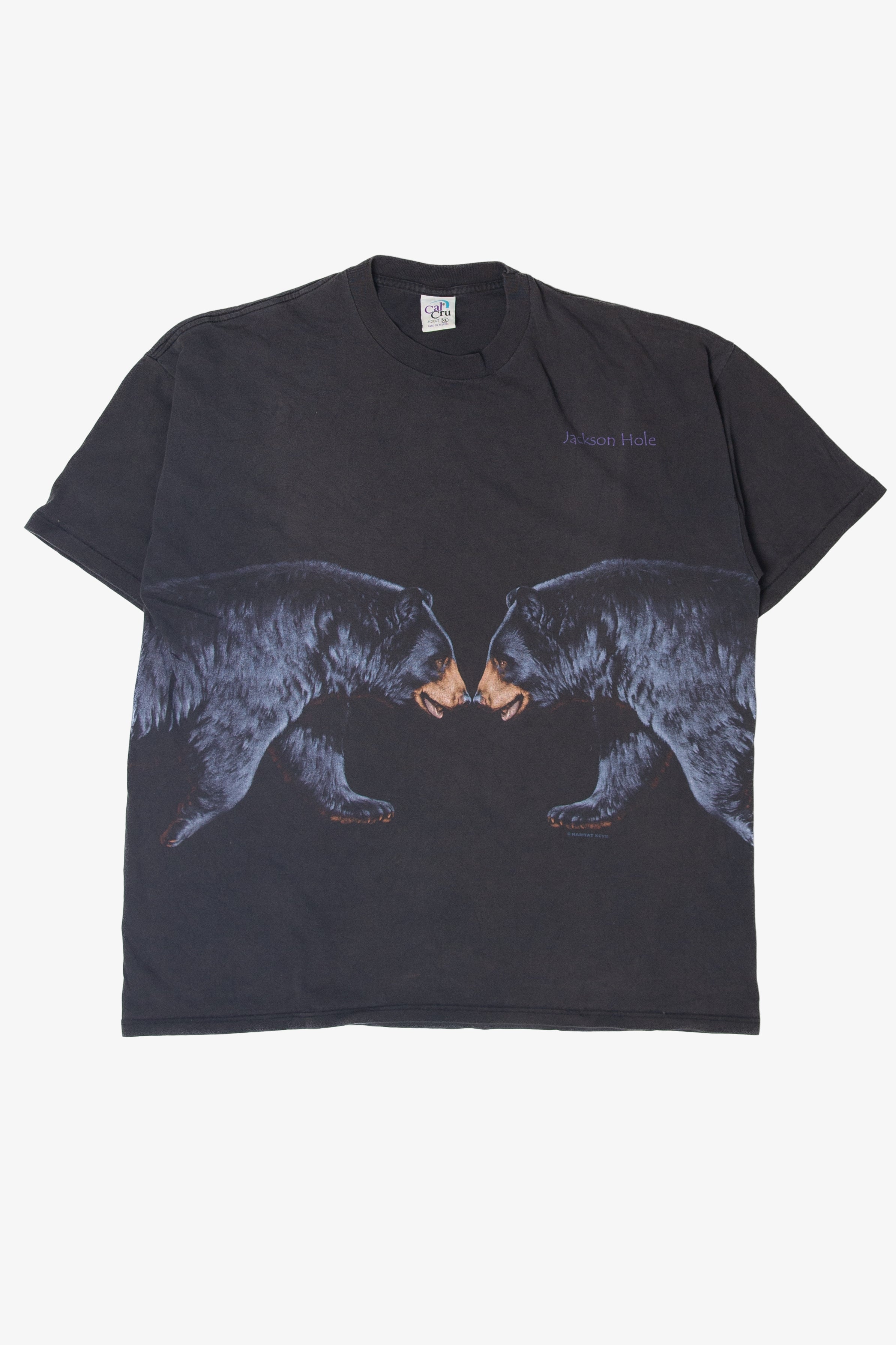 Vintage Jackson Hole Bears T-Shirt (1990s)