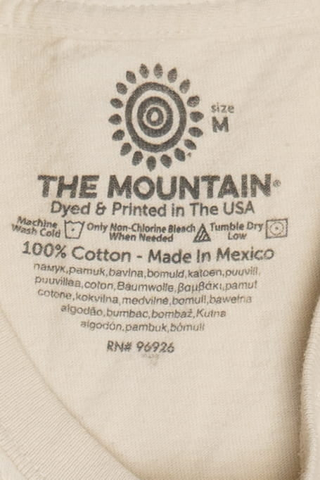 Girl With A Pearl Earring The Mountain T-Shirt