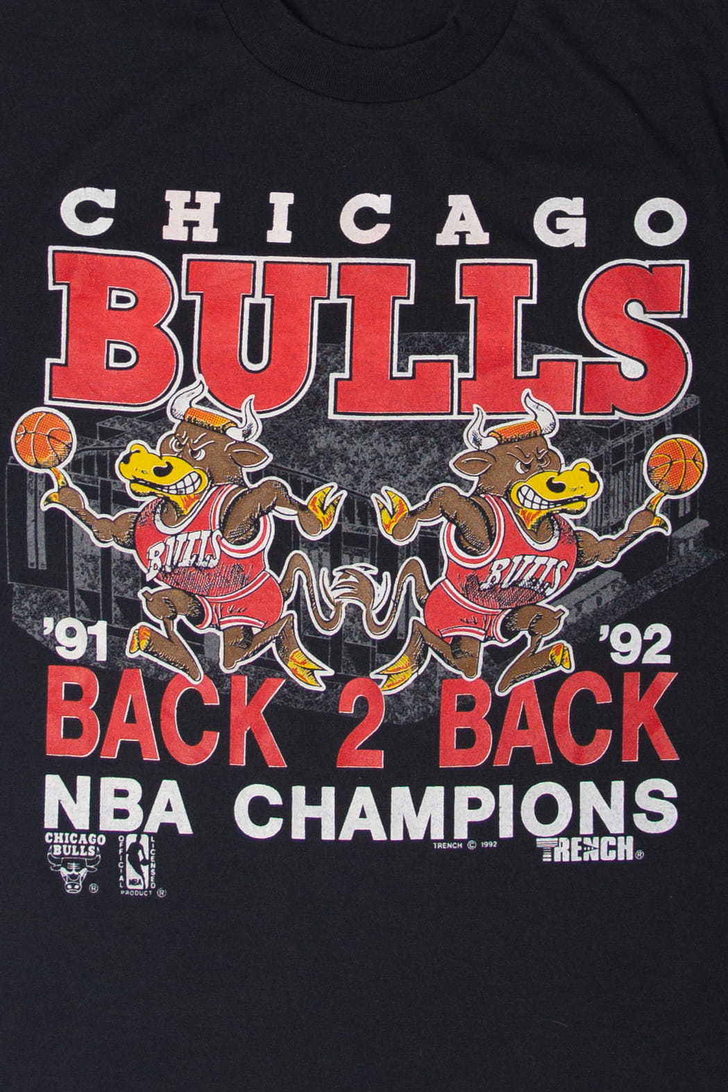 Vintage Chicago Bulls Back 2 Back NBA Champions T-Shirt (1990s)