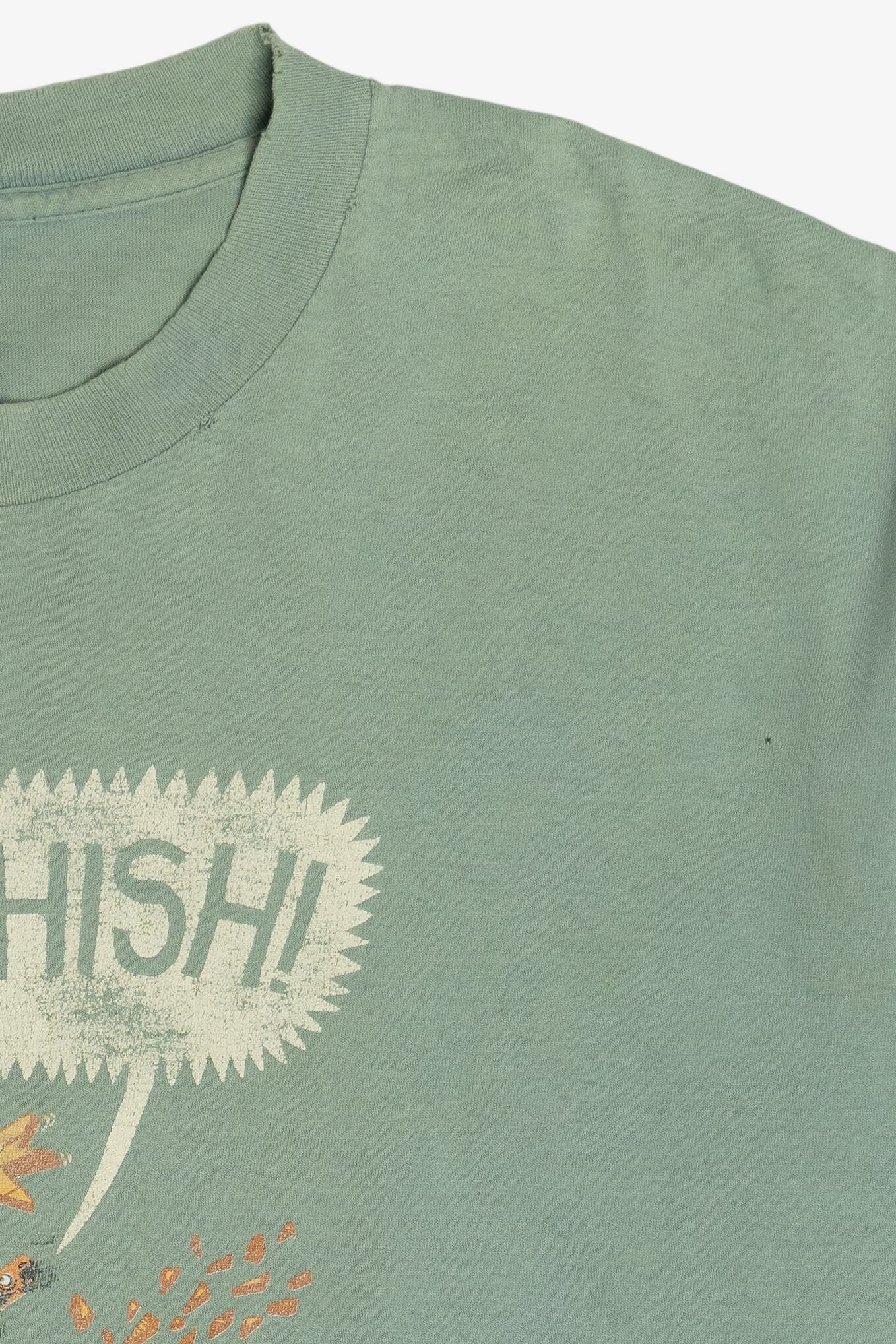 Vintage Distressed Phish "Summer '95" Tour T-Shirt Jim Pollock Illustration T-Shirt (1990s)