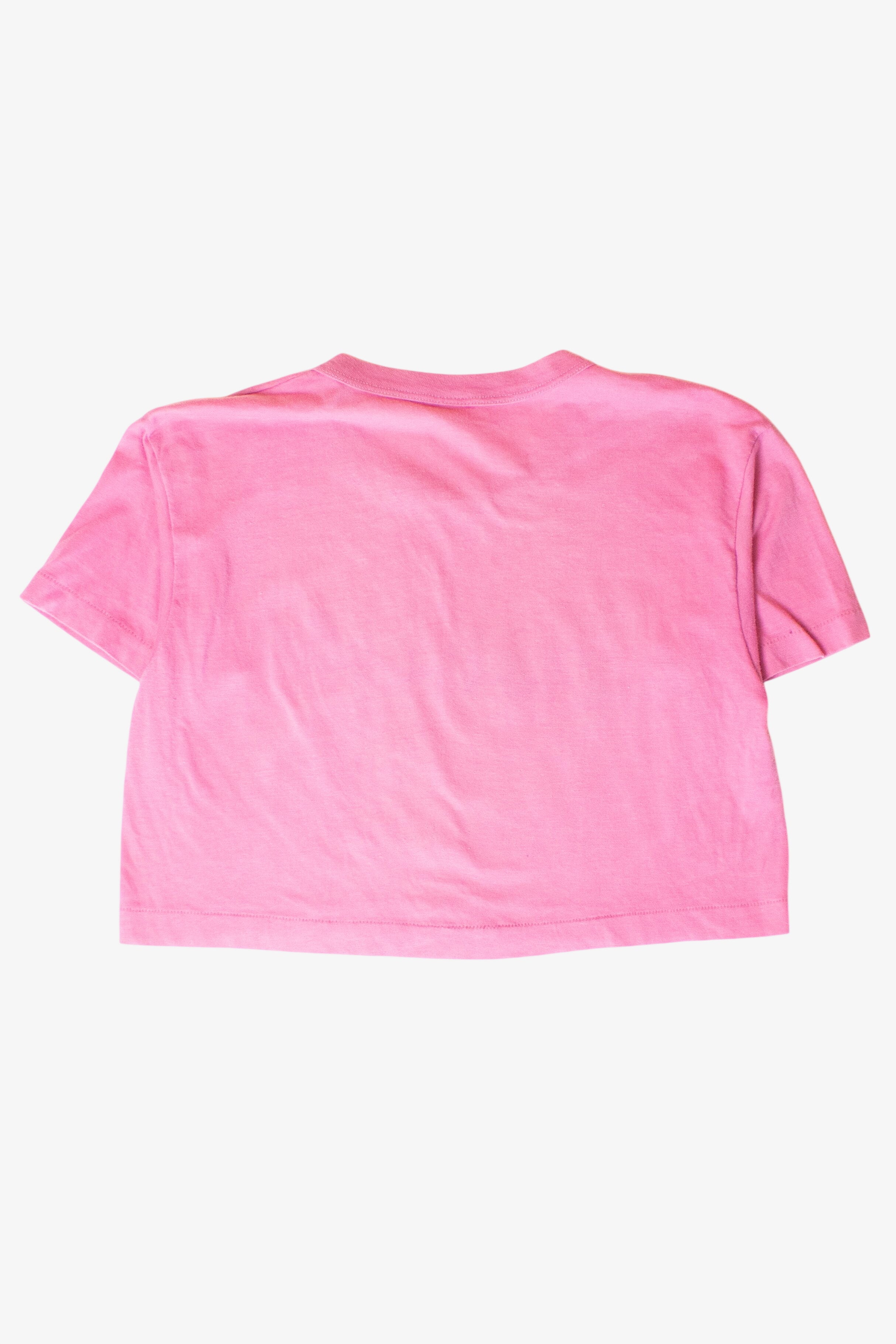 Vintage Cropped Astroworld Single Stitch T-Shirt (1990s)