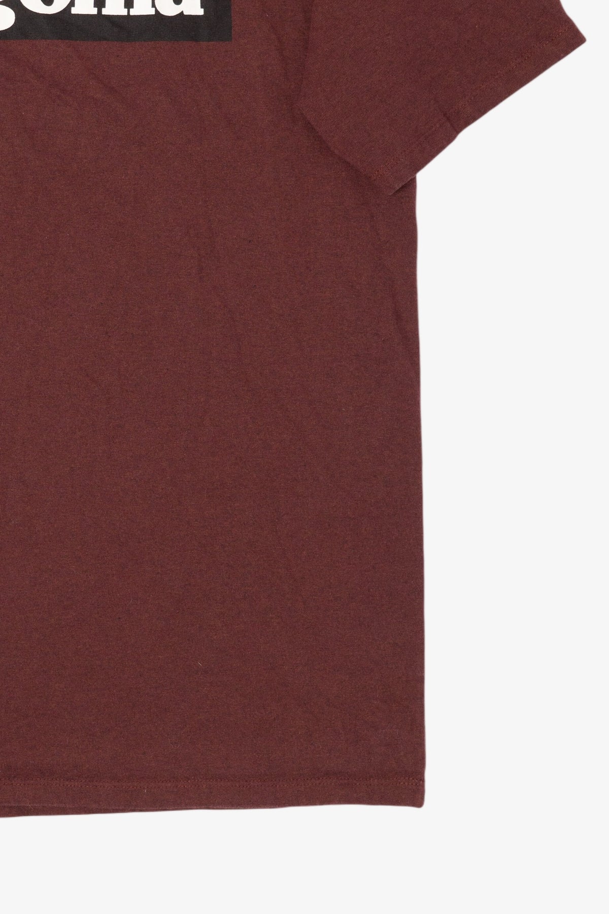 Mahogany Patagonia T-Shirt (2010s)