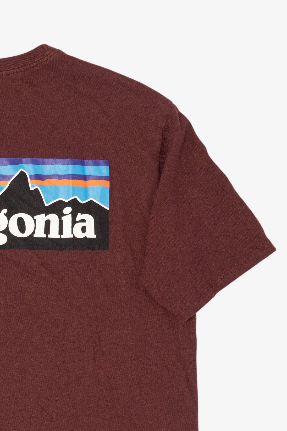 Mahogany Patagonia T-Shirt (2010s)