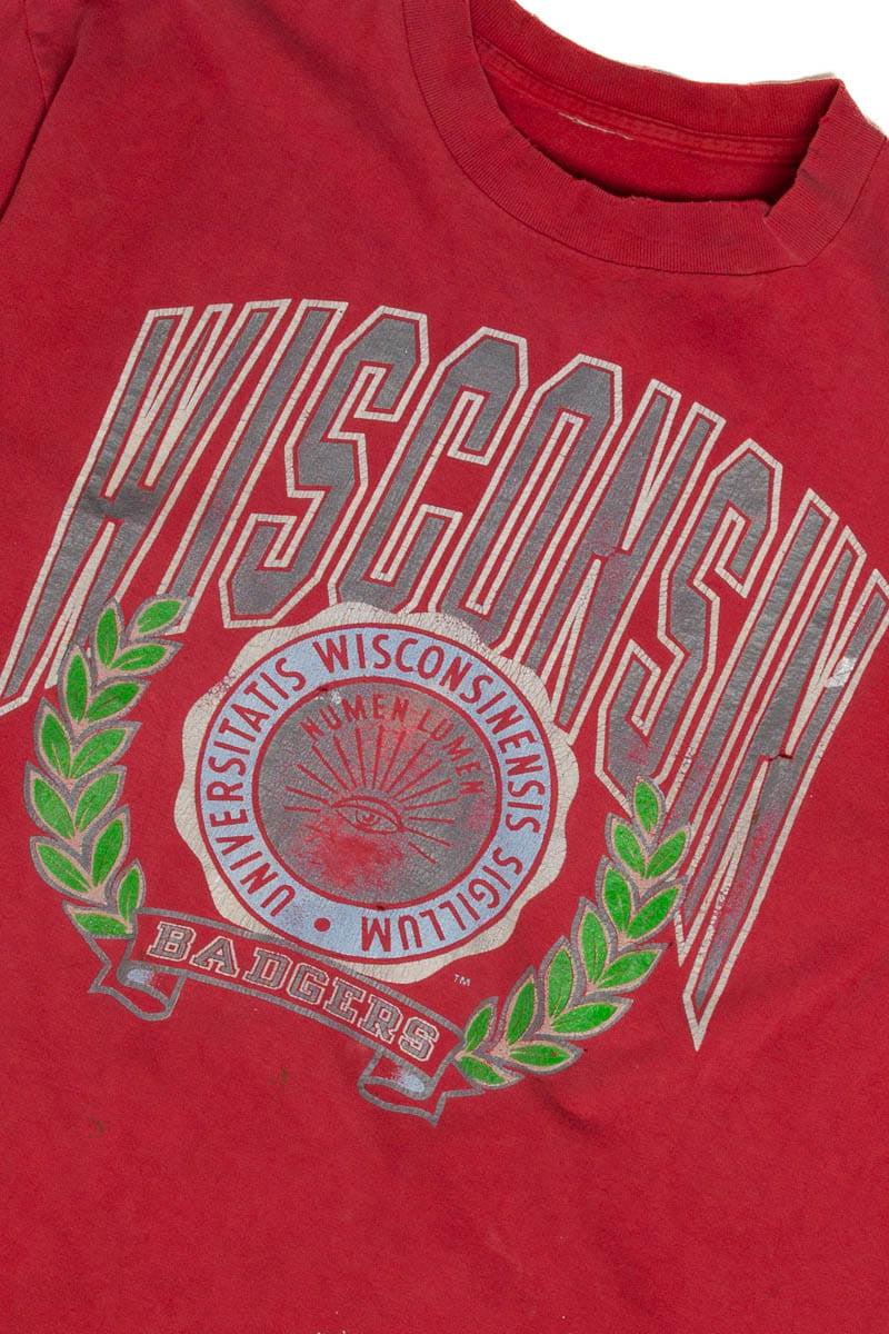 University of Wisconsin Seal T-Shirt