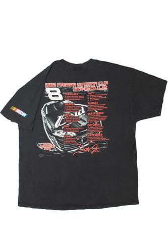 Vintage 2002 Nascar Winston Cup Dale Jr. T-Shirt