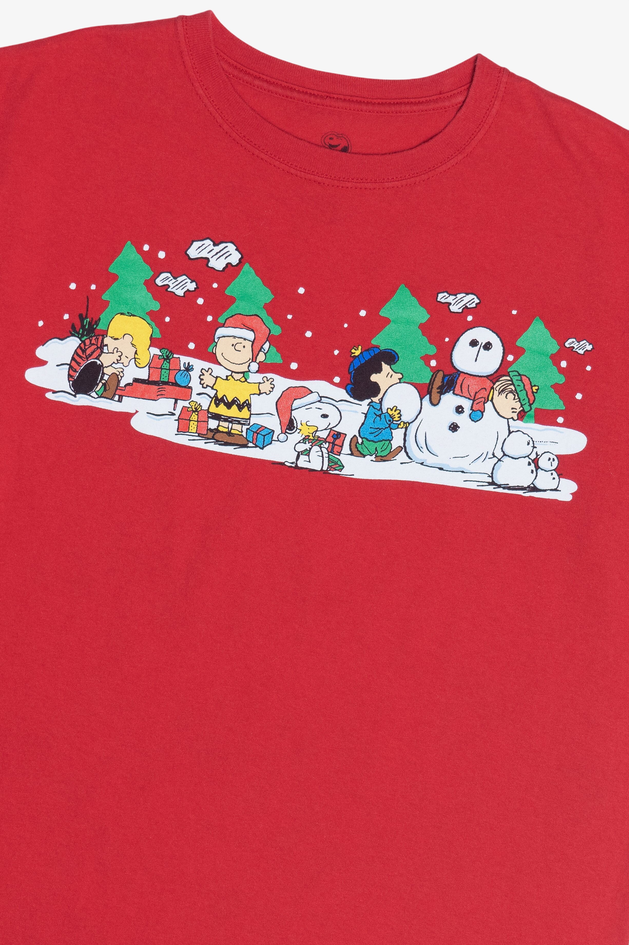 Charlie Brown & Snoopy Peanuts Gang Winter Scene T-Shirt (2010s)