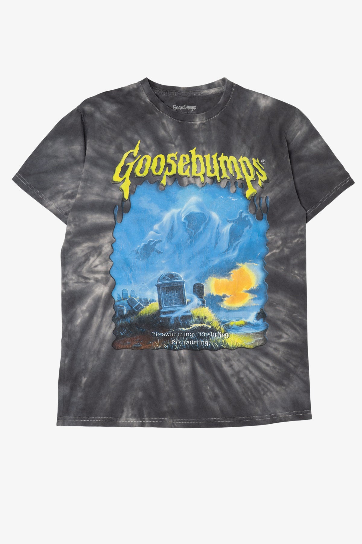 Gray Tie Dye Goosebumps T-Shirt (2010s)