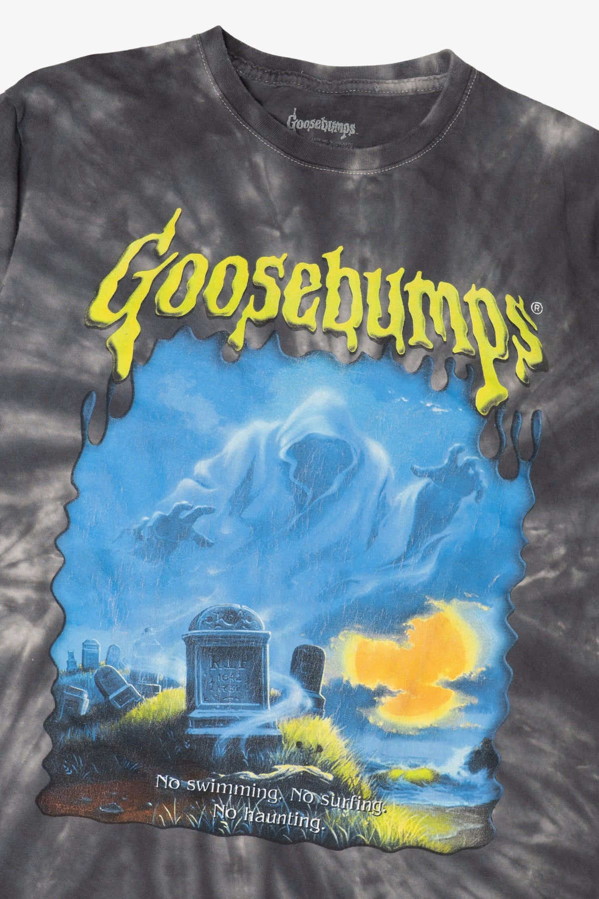 Gray Tie Dye Goosebumps T-Shirt (2010s)