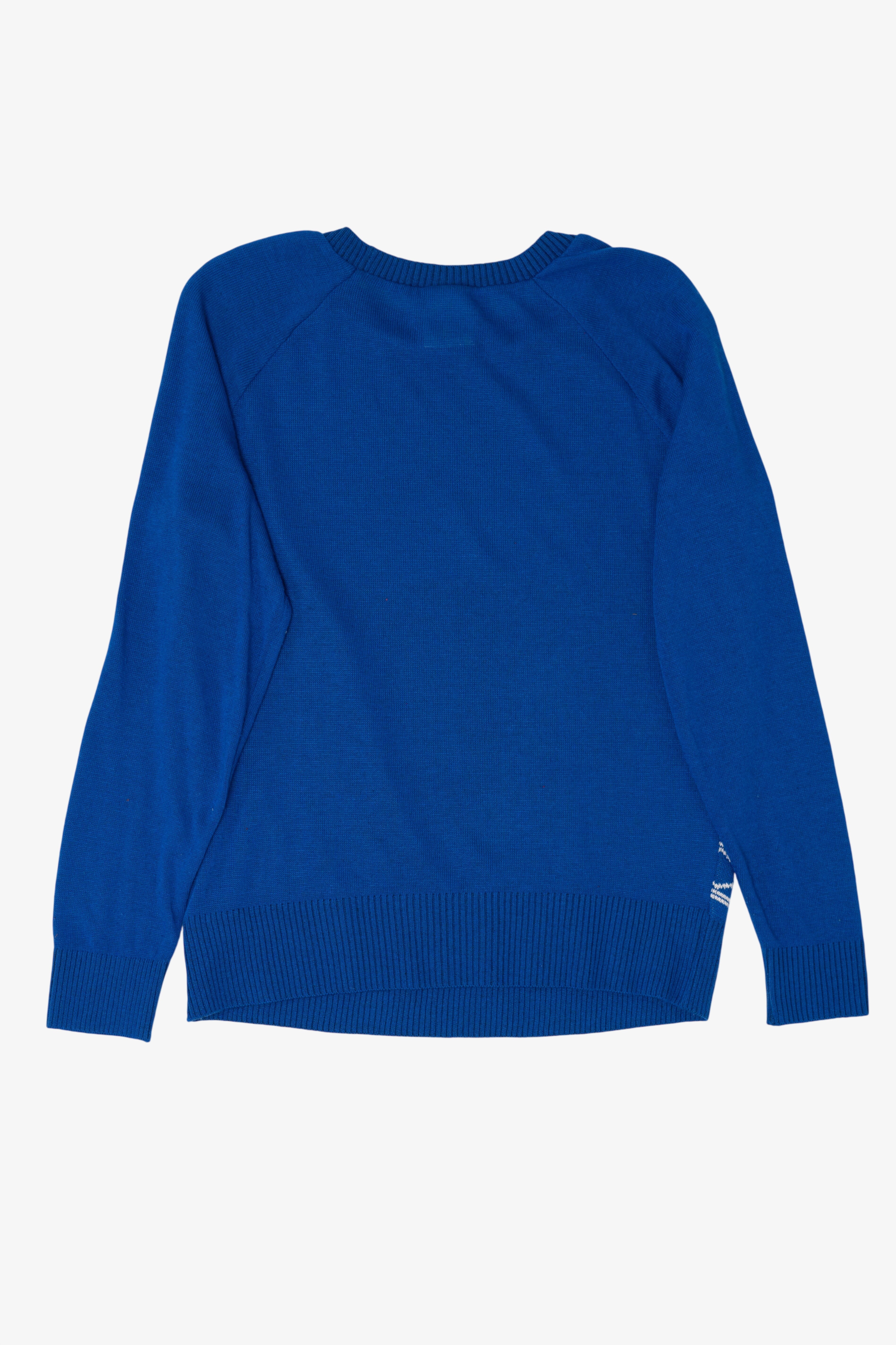 Blue Peanuts Snoopy Dog House Ugly Christmas Pullover (2010s)
