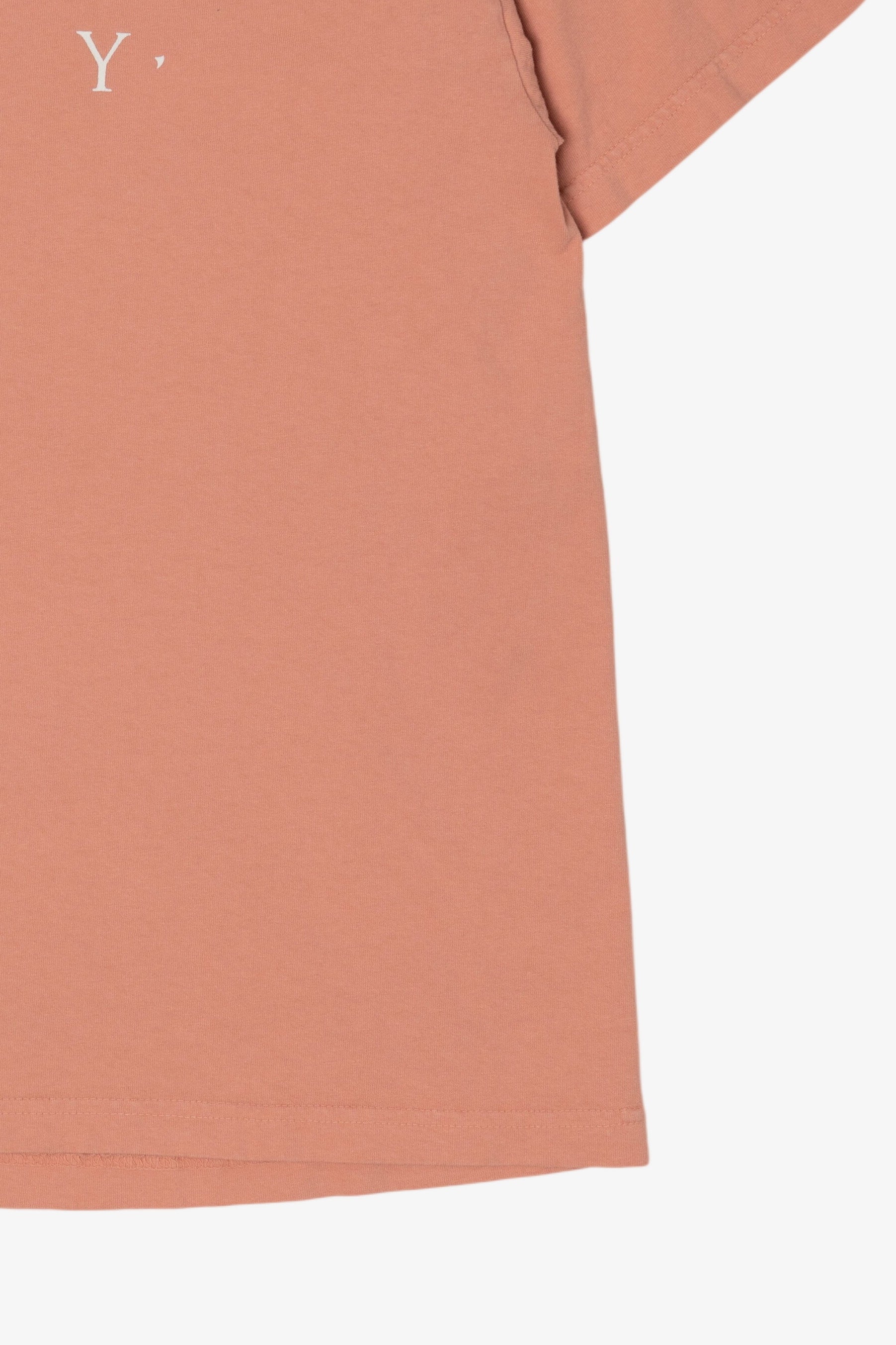 Salmon Obey T-Shirt