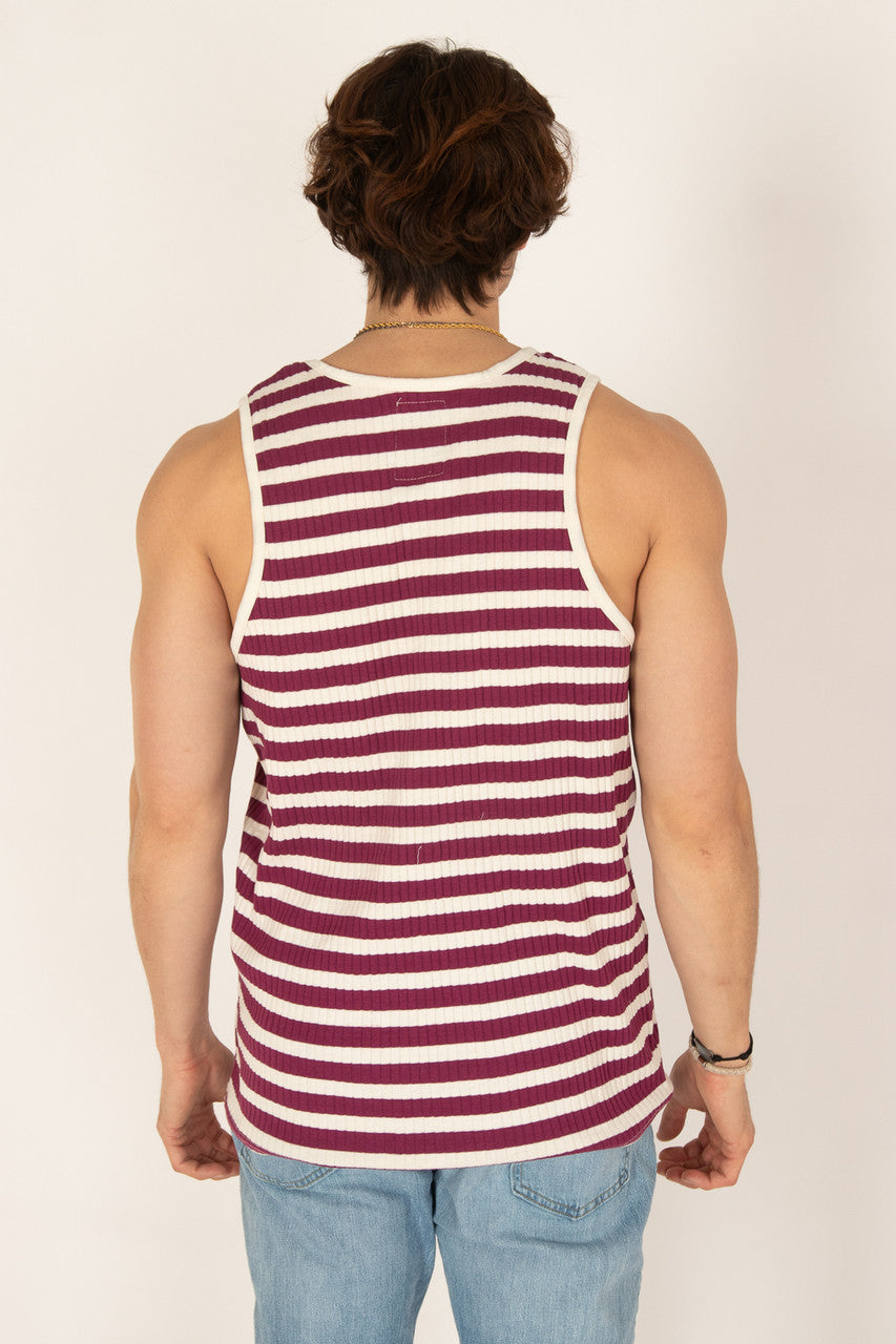 Raspberry Tank