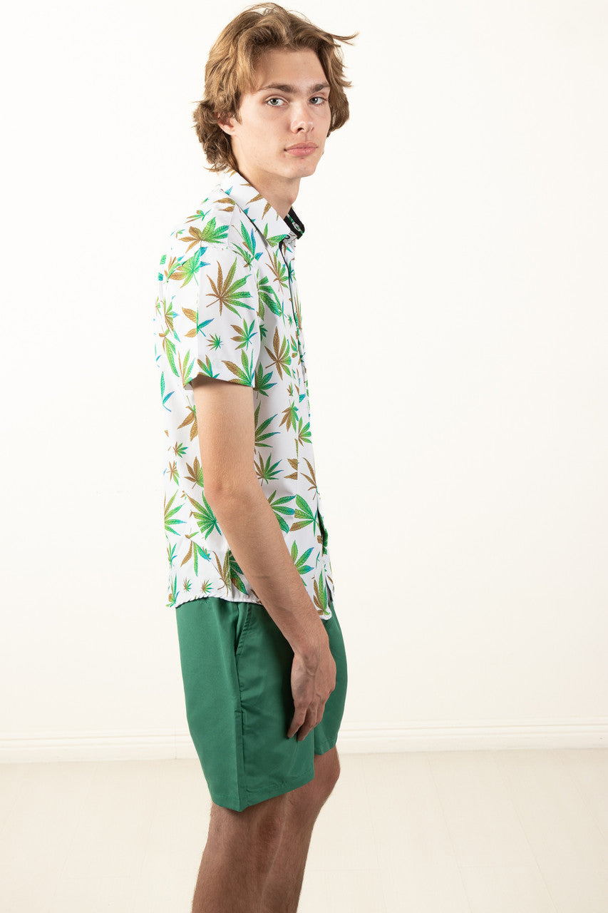 Pine Volley Shorts