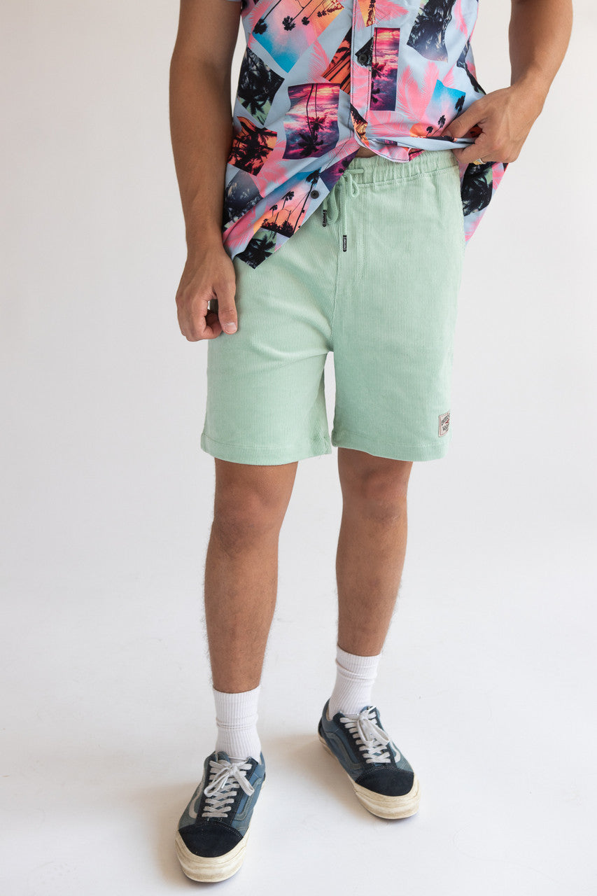 Velvet Corduroy Shorts