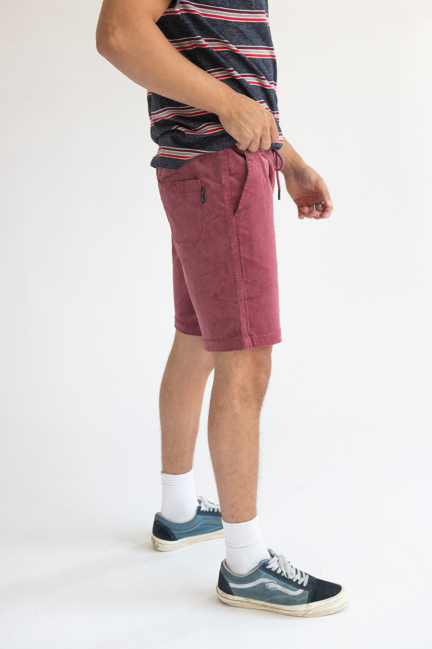Velvet Corduroy Shorts