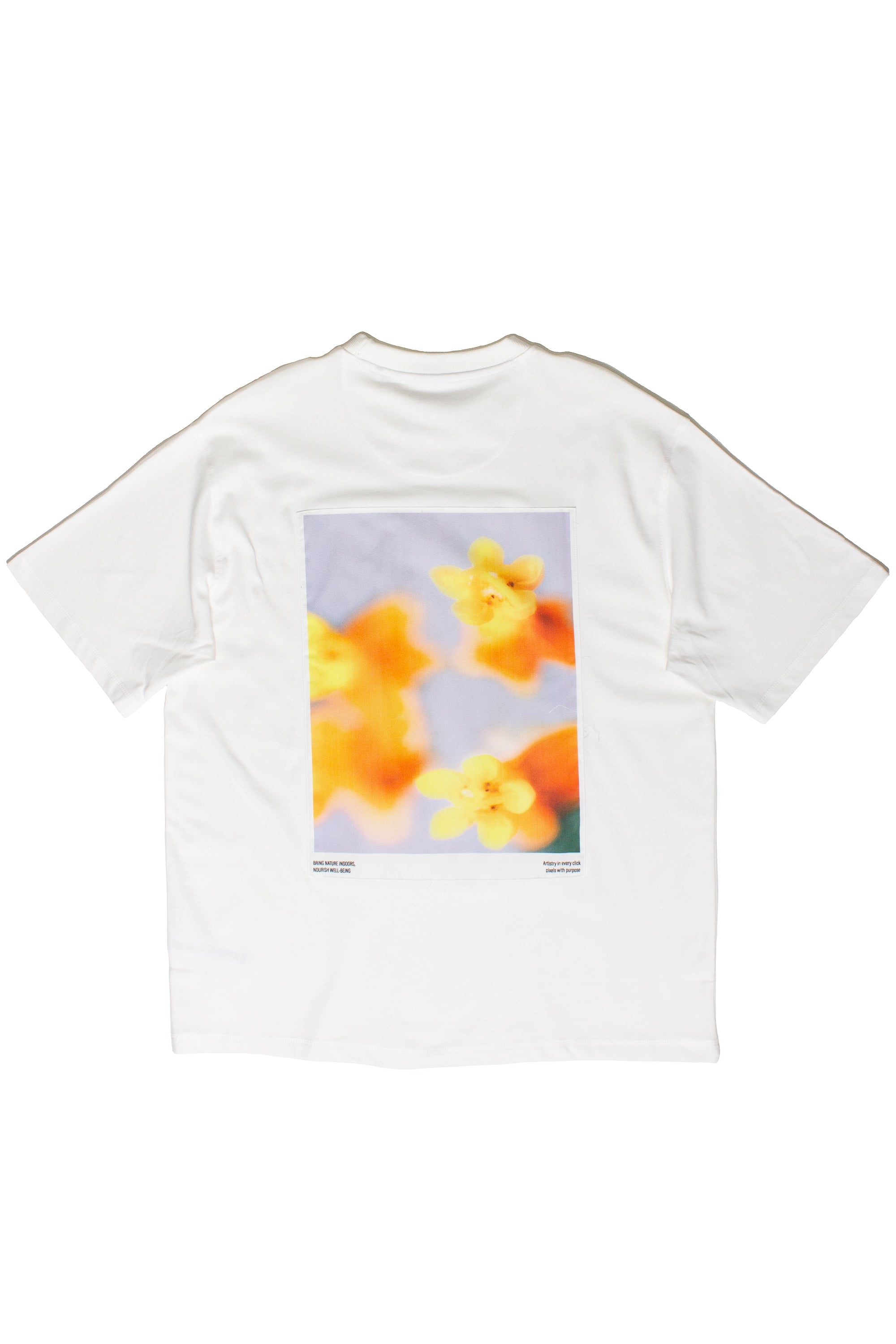 Artistry In Every Click Graphic T-Shirt