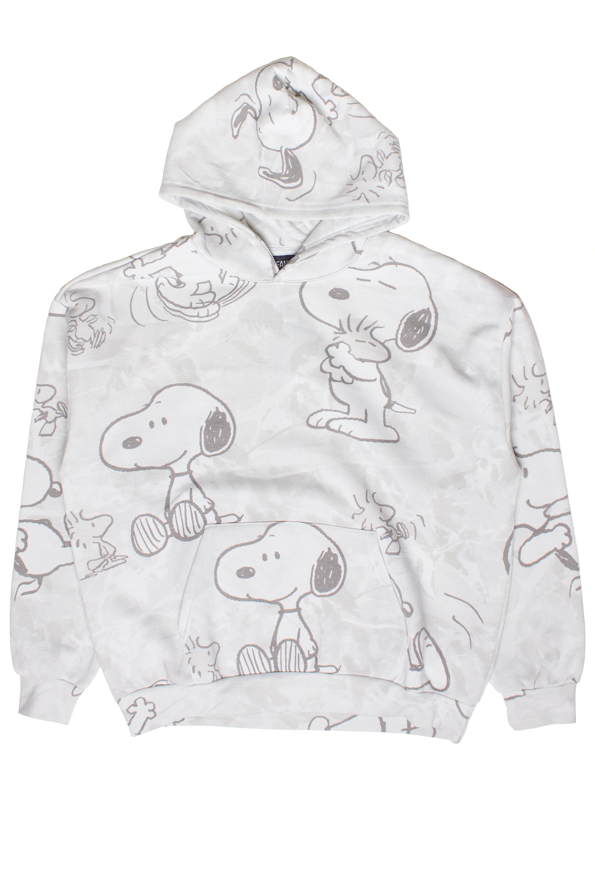 Snoopy & Woodstock Hoodie – Ragstock
