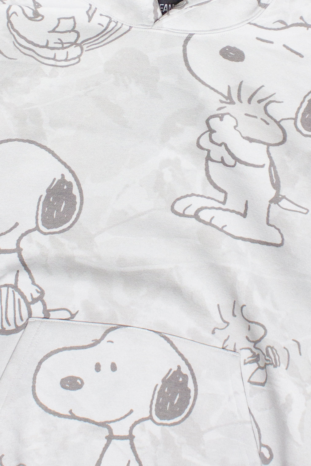 Snoopy & Woodstock Hoodie