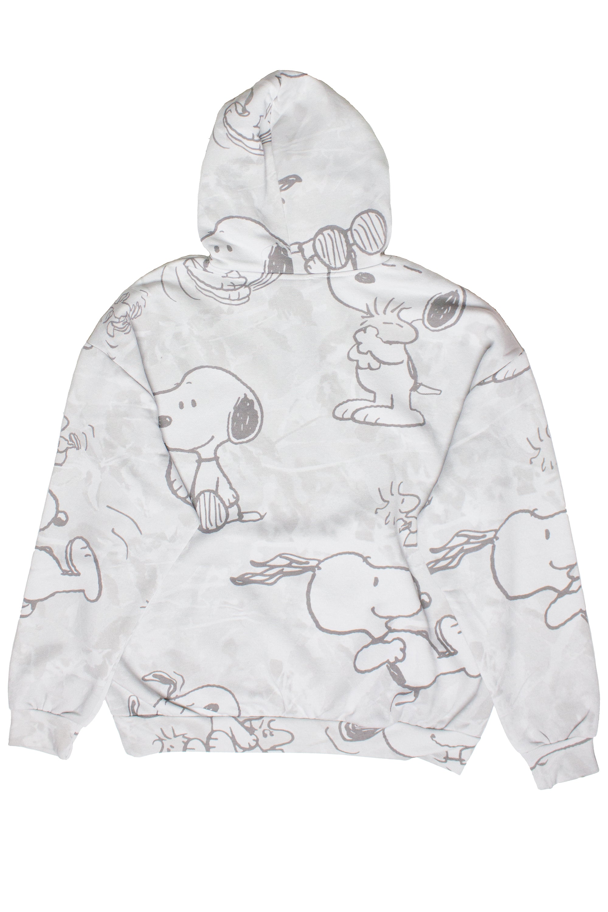 Snoopy & Woodstock Hoodie – Ragstock