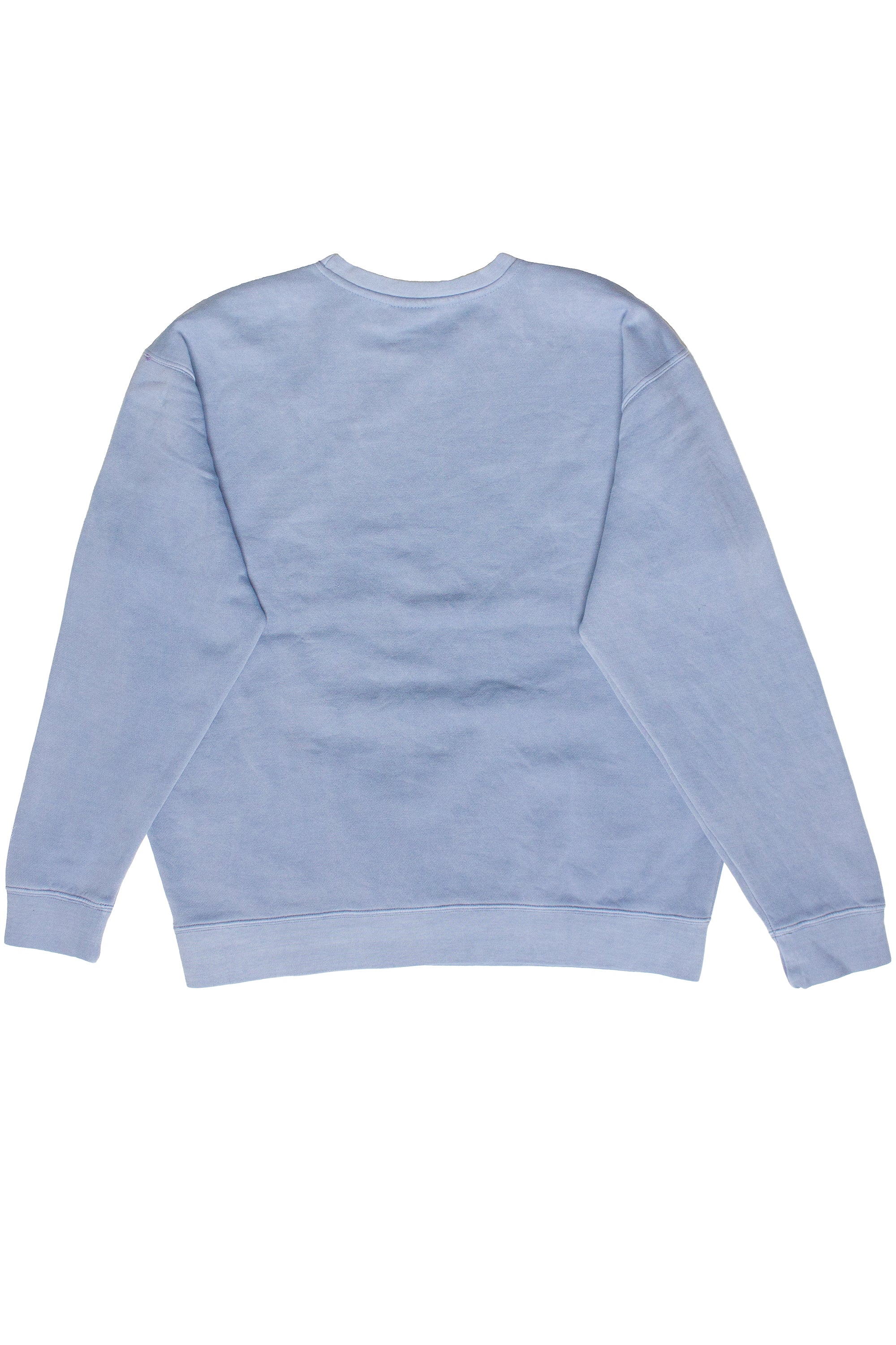 Capybara Sweatshirt