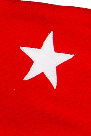 Star Patch Tube Top
