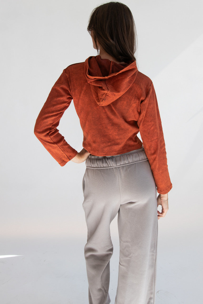 Embroidered Mushroom Mineral Wash Crop Hoodie