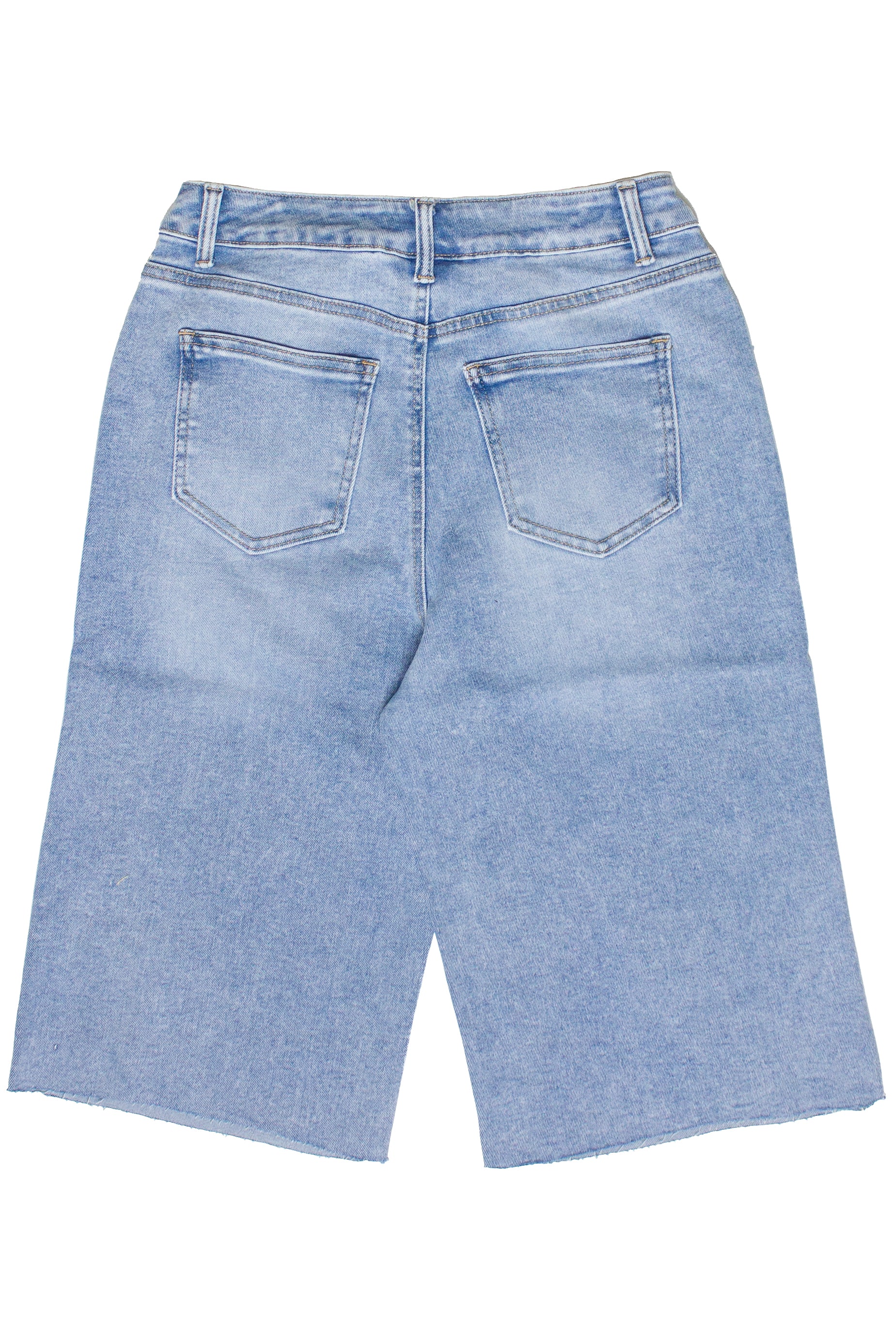 Light Blue Distressed Long Jorts Back